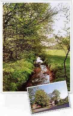 Flusslandschaft